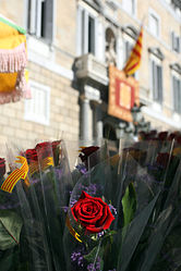 Sant Jordi i la rosa, composició típica i tòpica