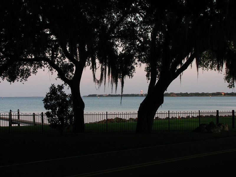 File:Ballast Point Neighborhood Overlooking Hillsborough Bay.JPG