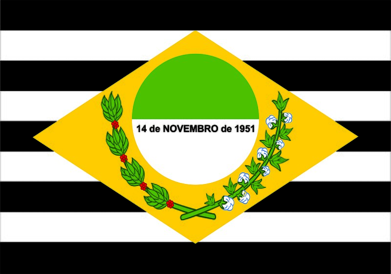 File:Bandeira de São Sebastião da Amoreira.jpg