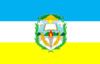 Bandera de Chiquimula.png