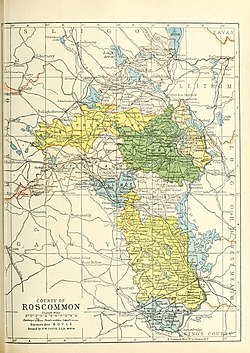 Barony map of County Roscommon, 1900; Boyle is coloured pink, in the north.