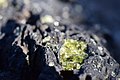 Basalt with Olivine (23999338641).jpg