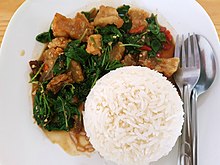 What Does Pad Mean in Thai: Unraveling Culinary Mysteries
