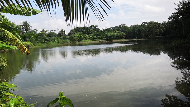 File:Beautiful pond in Tungipara, Gopalganj, Bangladesh.jpg