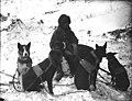 Ben Atwater, mail carrier, with his dogsled team, Yukon Territory, ca 1898 (HEGG 44).jpeg