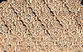 Sebka motif filled with arabesques in the carved stucco decoration of the Ben Youssef Madrasa