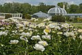 Vytautas Magnus University Botanical Garden, Kaunas (Lithuania)