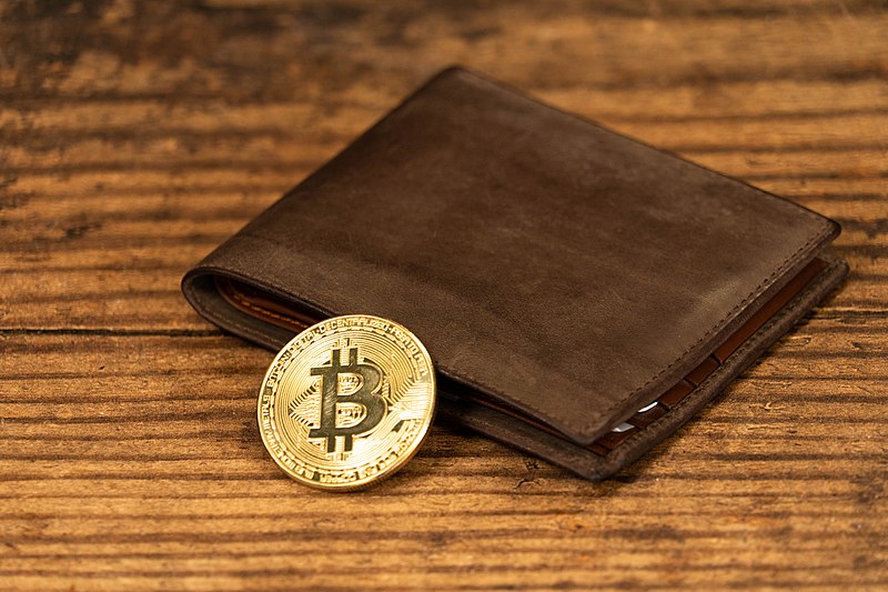 File:Bitcoin Wallet for Crypto.jpg