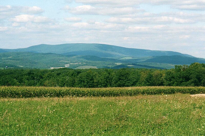 File:Blue Knob Mountain 4.jpg