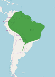 Распространение Boana punctata map.svg