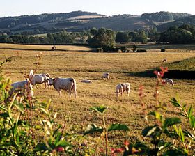 Illustrasjonsbilde av artikkelen Charolais (land)