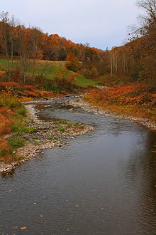 Bowman Creek in Eaton Township, Wyoming County