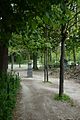 Čeština: Královský park v Bruselu English: Parc Royal in Brussels, Belgium