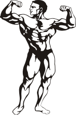 筋肉質 Wikipedia