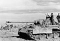 Bundesarchiv Bild 101I-244-2321-34, Ostfront-Süd, Panzer V (Panther).jpg