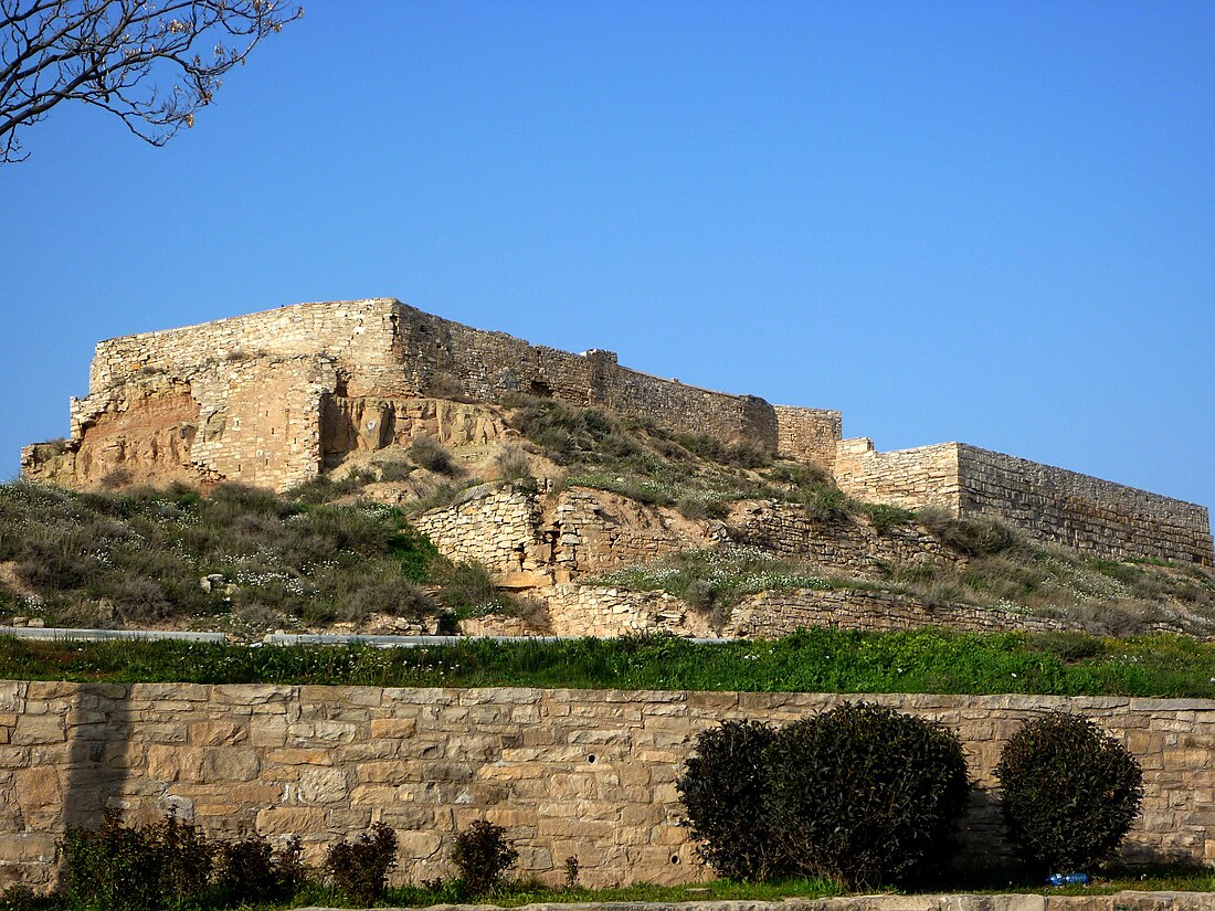 Castell de Tàrrega