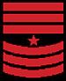 CSG-Badge-SGM.jpg