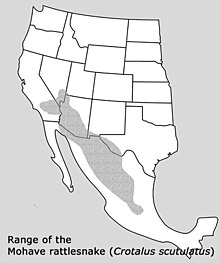 C scutulatus range.jpg