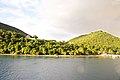 Cabritts National Park, Dominica - panoramio (1).jpg