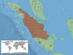 Calamaria sumatrana distribution.png