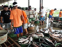 Fishing industry in Cardona where the town is known Cardona,Rizaljf5207 02.JPG