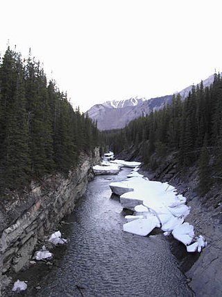 <span class="mw-page-title-main">Cascade River (Alberta)</span> River in Alberta, Canada