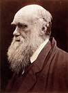 Charles Darwin by Julia Margaret Cameron 3.jpg