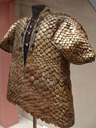 Coat of Pangolin scales