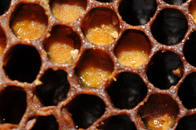 אבקת דבורים בחלת דבש.