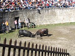 Valais: Geografia, Historia, Gospodarka