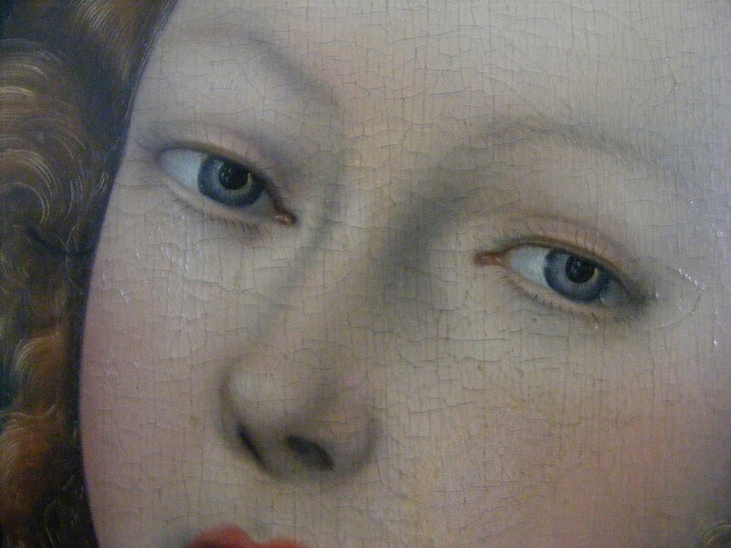 File:Cranach, Lucas (I) - Lucretia - Detail face.jpg