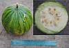 Cucurbita ecuadorensis (Cutler & Whitaker) mature fruit 2 merged pictures.jpg