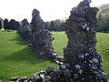 Vignette pour Abbaye de Cwmhir