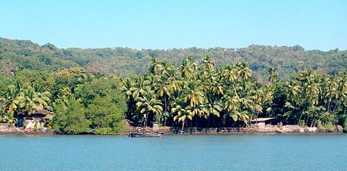Dabhol in Ratnagiri district, Konkan division, Maharashtra. Beaches dotted with swaying coconut palms are a ubiquitous sight along the Konkani coast.