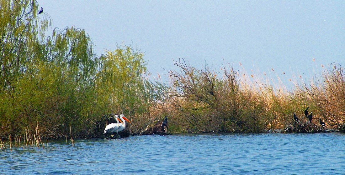 Srebarna Nature Reserve