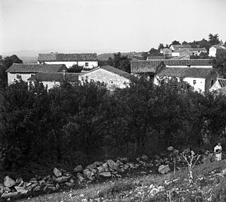 <span class="mw-page-title-main">Račice, Ilirska Bistrica</span> Village in Inner Carniola, Slovenia