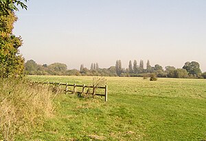 Green spaces on Desborough Island