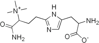 <span class="mw-page-title-main">Diphthamide</span> Chemical compound