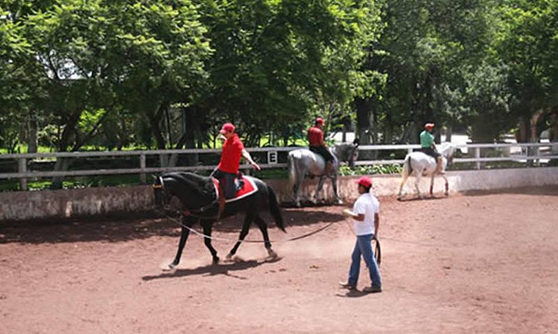 File:Discipulos alta escuela.jpg