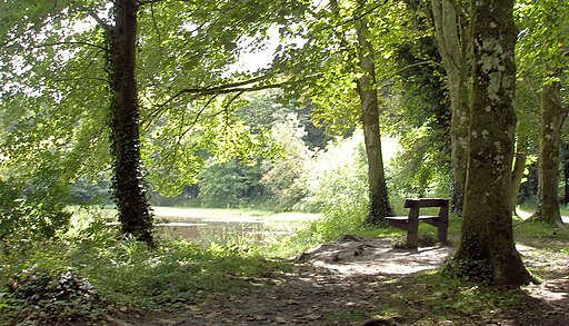 Donadea Park, view over lake - panoramio