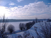 Winterliches Donauried