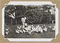 Dorothy Amos feeding chickens, Canberra, ca. 1946 - Alfred Amos (32784488531).jpg