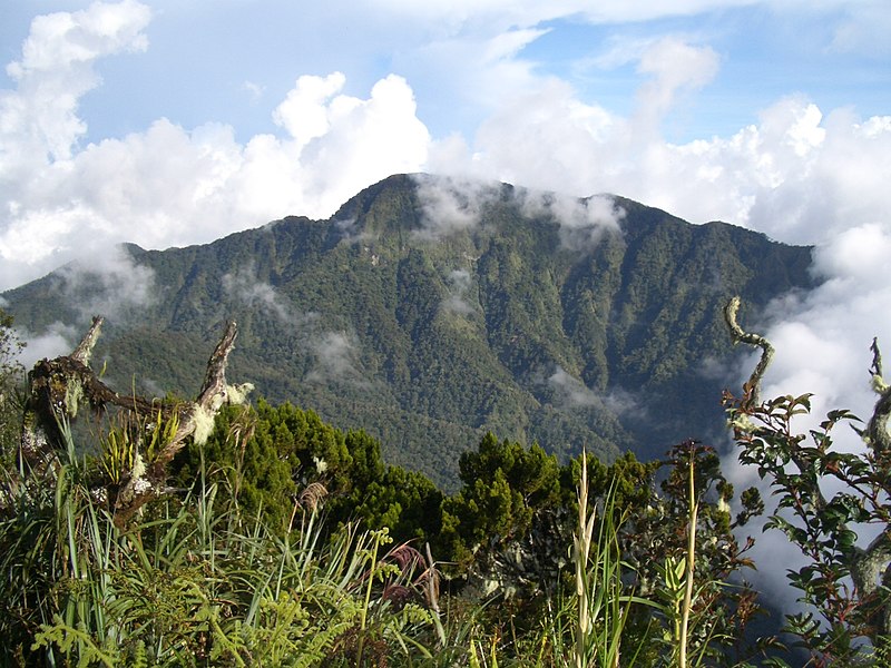 File:Dulang-dulang peak.JPG