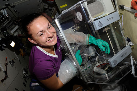 Yelena Serova works on an experiment in Poisk