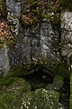 * Nomination Source of the Erlauf river near Mitterbach am Erlaufsee, Lower Austria --Uoaei1 05:02, 20 November 2017 (UTC) * Promotion Good quality. --Ermell 07:48, 20 November 2017 (UTC)