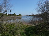 Català: El Remolar-Filipines o Pas de les Vaques (Baix Llobregat) (El Prat de Llobregat, Sant Boi de Llobregat, Viladecans). Desembocadures històriques de rius i rieres. This is a a photo of a wetland in Catalonia, Spain, with id: IZHC-08001104 Object location 41° 17′ 02.4″ N, 2° 03′ 54″ E  View all coordinates using: OpenStreetMap