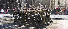 The Guard Battalion during the Estonia 100 parade Estonian Guard Battalion on parade-902227.jpeg