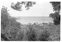 Photo en noir et blanc avec au premier plan des arbres et plantes, au centre des maisons en paille, au fond la mer