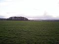Field and Copse - geograph.org.uk - 112046.jpg