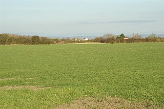 <span class="mw-page-title-main">West Huntspill</span> Human settlement in England